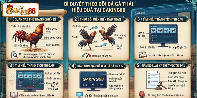 Đá Gà Thái Trực Tiếp – Xem & Cược Gà Chọi Thái Lan Tại GAKING88 3 Bí quyết theo dõi đá gà Thái hiệu quả tại GAKING88