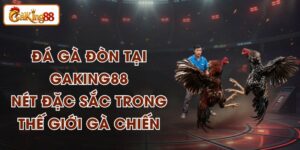 Đá Gà Đòn Tại GAKING88 - Nét Đặc Sắc Trong Thế Giới Gà Chiến