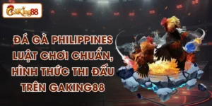Đá Gà Philippines - Luật Chơi Chuẩn, Hình Thức Thi Đấu Trên GAKING88