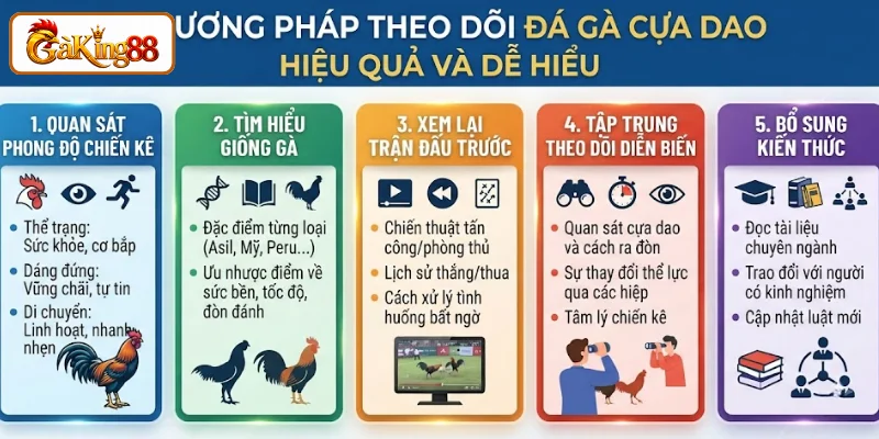 Đá Gà Cựa Dao GAKING88 - Nơi Hội Tụ Các Màn So Tài Đỉnh Cao 3 Phương pháp theo dõi đá gà cựa dao hiệu quả và dễ hiểu